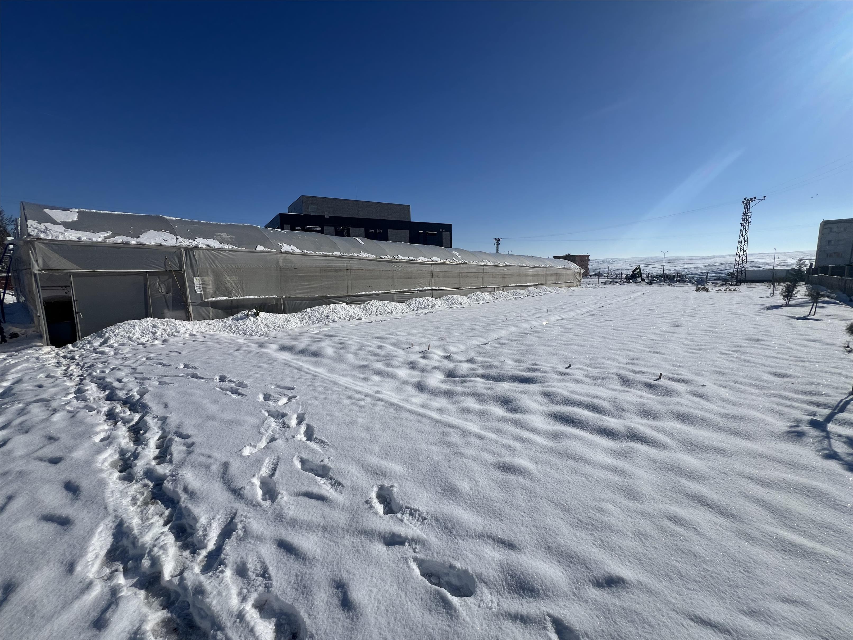 kampusten-kar-manzaralari