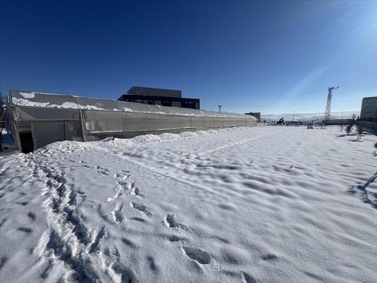 kampusten-kar-manzaralari