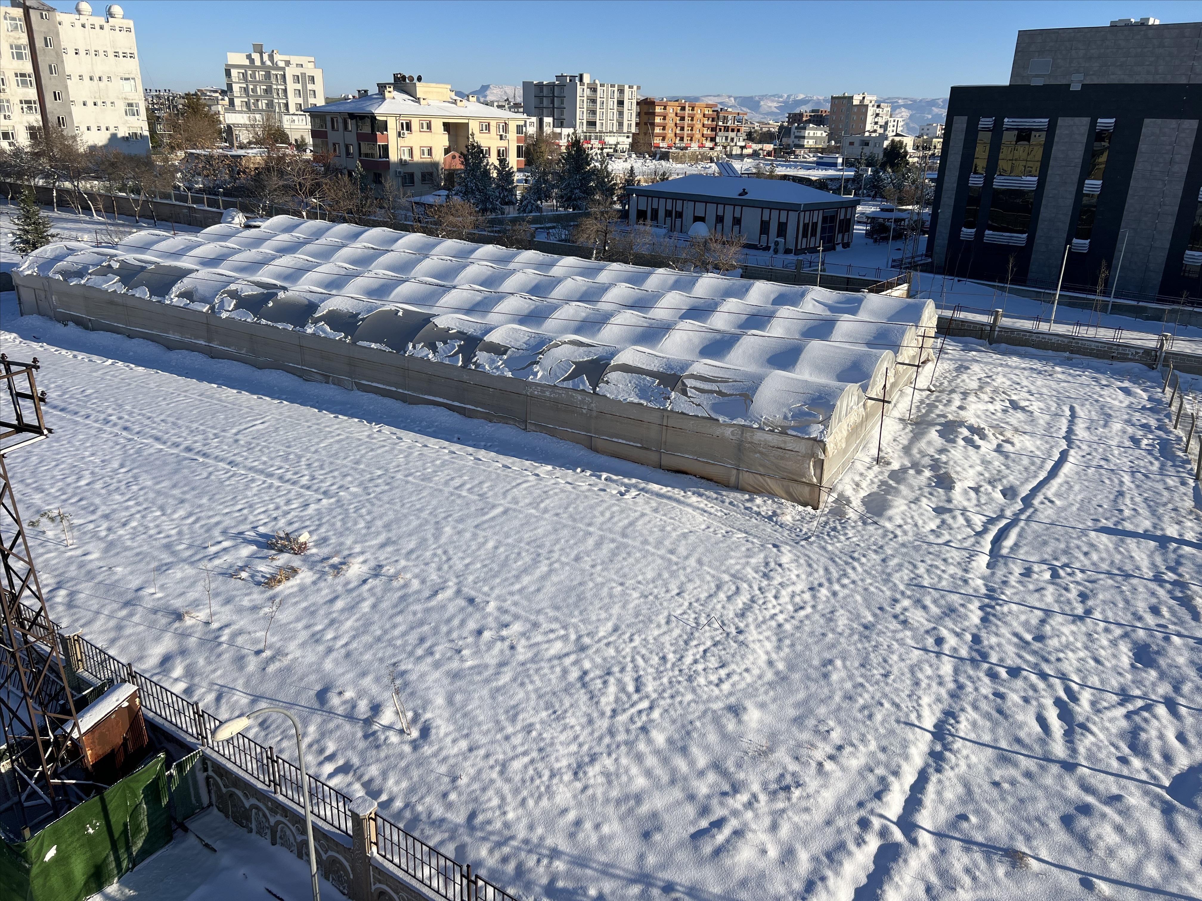 Bahçe Bitkileri Bölümü